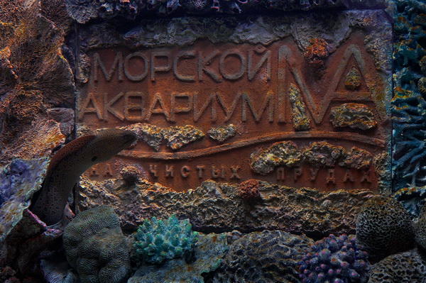 морской аквариум москва