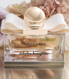  ,   2014,     , Signorina Eleganza  Salvatore Ferragamo