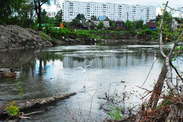 Ока река тула