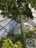 ����� ����� �� �������� ���� ������, ��� � �������������� �������� � ���������� ���������