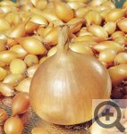 Алтайские семена, саженцы, луковицы