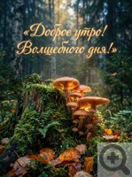 ����������� ���� ���������� � ������� �������