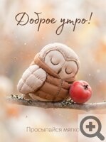 ����� �������� ������� ������ ������� ������ �����
