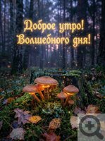 ����������� �������� ������ ���� ����� �����