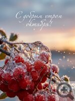 ���� ������� ������ ������ �� ������� ������