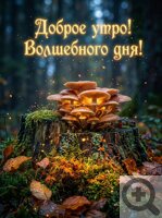 ���������� ������� ���������� ����� ��������