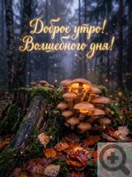 ������ ������ ���������� ����� ��������� �������