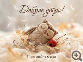������� ������ ������ ������� ���� ��������