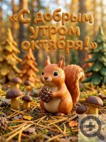 ������ ���� ������� ����� ������ ������ ��������