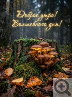 ������ ���� ��������� ���������� ��������� ��������
