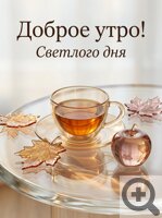 ������ ���� ������� ����������� ������ ��������