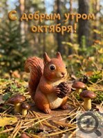 ����� ���� ������ ������ ������� ��������