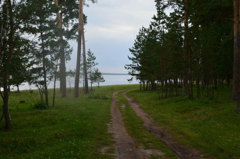 14 самых известных грибных мест Новосибирска и области