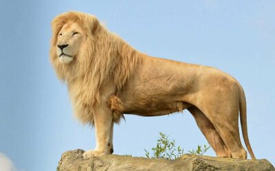 ��������� �� �������