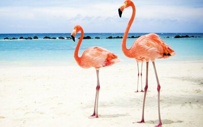 ��������� �� �������