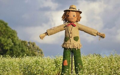 ��������� �� �������