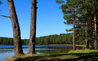 10 популярных пляжей и озер Томской области